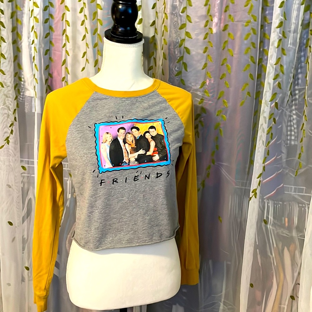 Friends The TV Series - cropped tee